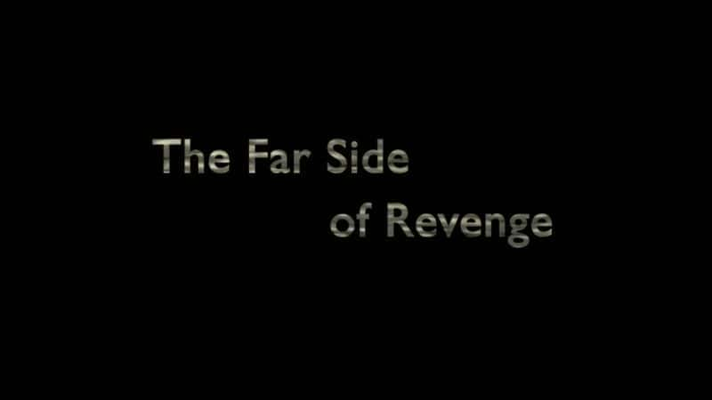 外语原版纪录片《 The Far Side of Revenge 》 - 纪录片1080P/720P/360P高清标清网盘迅雷下载