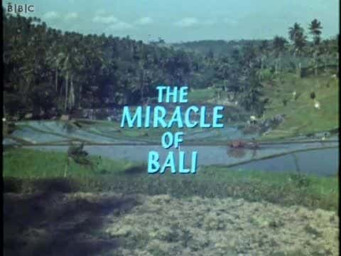 外语原版纪录片《 The Miracle of Bali (BBC) 》 - 纪录片1080P/720P/360P高清标清网盘迅雷下载