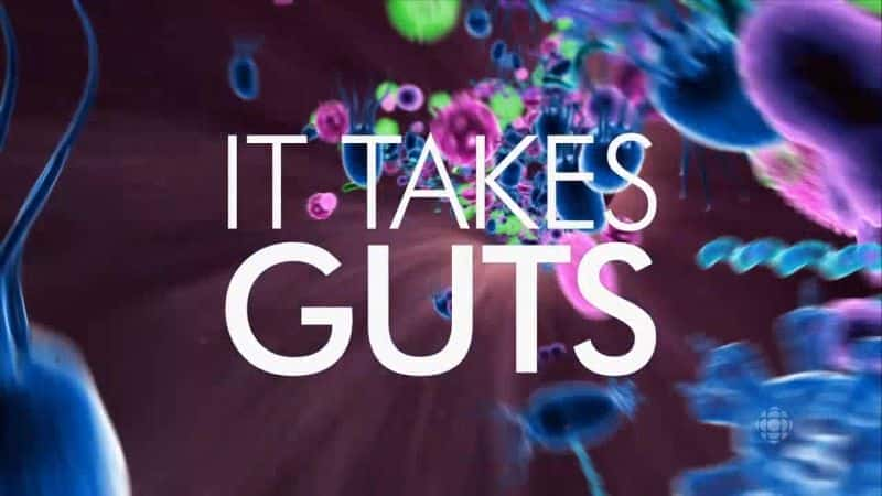 外语原版纪录片《 It Takes Guts 》 - 纪录片1080P/720P/360P高清标清网盘迅雷下载