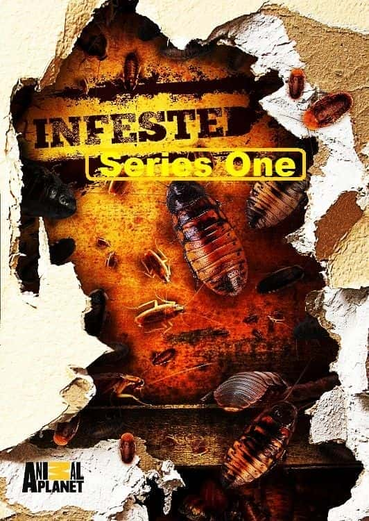 外语原版纪录片《 Infested! Series 1 》 - 纪录片1080P/720P/360P高清标清网盘迅雷下载