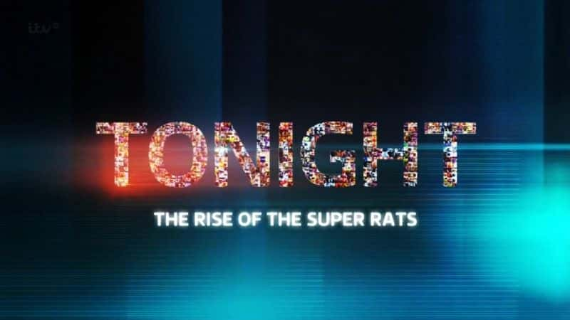 外语原版纪录片《 Rise of the Super Rats 》 - 纪录片1080P/720P/360P高清标清网盘迅雷下载