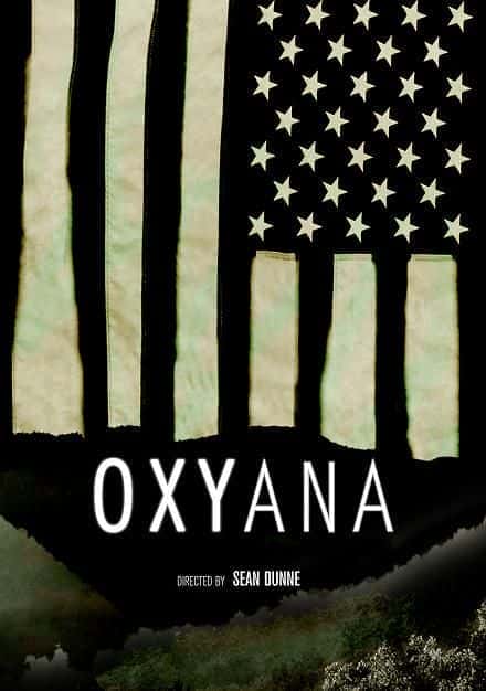 外语原版纪录片《 Oxyana 》 - 纪录片1080P/720P/360P高清标清网盘迅雷下载