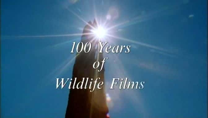 外语原版纪录片《 100 Years of Wildlife Films 》 - 纪录片1080P/720P/360P高清标清网盘迅雷下载