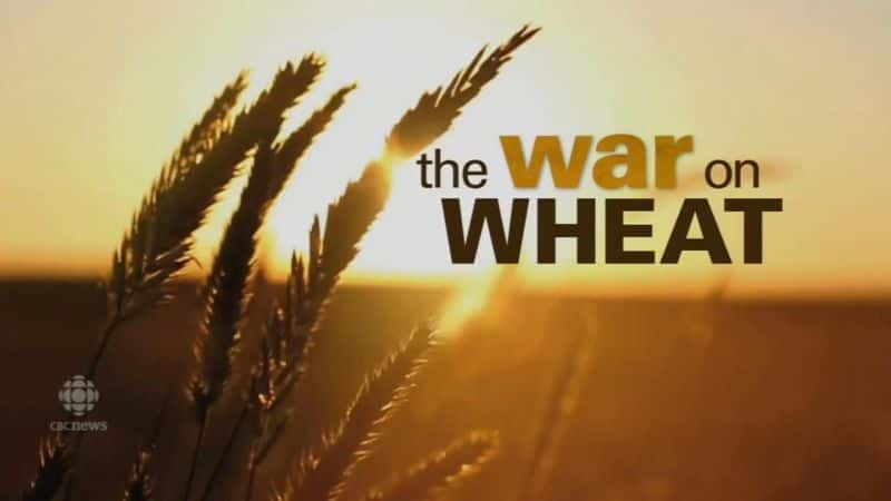 外语原版纪录片《 The War on Wheat 》 - 纪录片1080P/720P/360P高清标清网盘迅雷下载