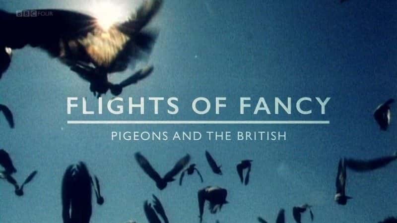 外语原版纪录片《 Flights of Fancy 》 - 纪录片1080P/720P/360P高清标清网盘迅雷下载