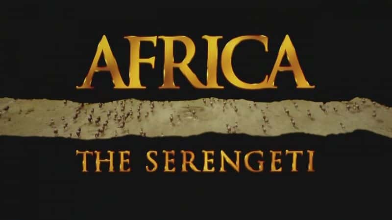 外语原版纪录片《 Africa - The Serengeti 》 - 纪录片1080P/720P/360P高清标清网盘迅雷下载