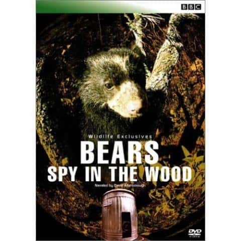 外语原版纪录片《 Bears - Spy in the Woods 》 - 纪录片1080P/720P/360P高清标清网盘迅雷下载