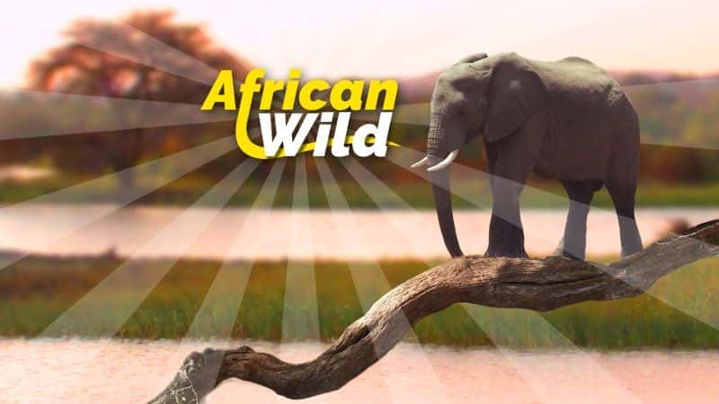 外语原版纪录片《 African Wild 》 - 纪录片1080P/720P/360P高清标清网盘迅雷下载