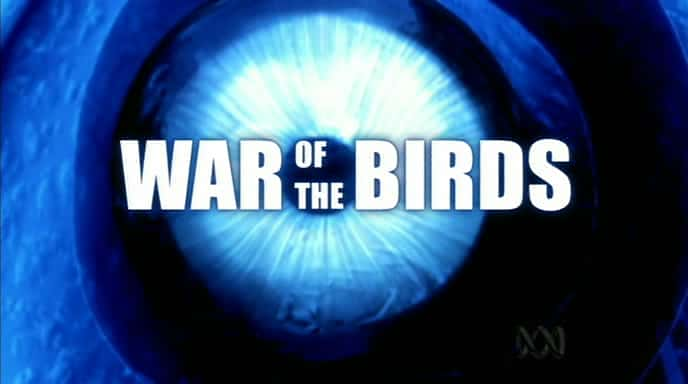 外语原版纪录片《 War of the Birds 》 - 纪录片1080P/720P/360P高清标清网盘迅雷下载