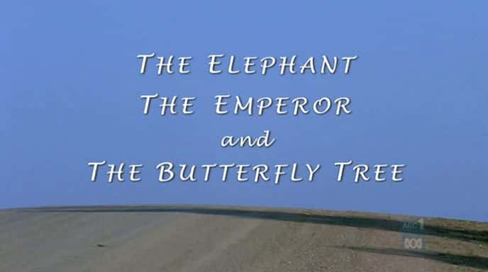 外语原版纪录片《 The Elephant Emperor and Butterfly Tree 》 - 纪录片1080P/720P/360P高清标清网盘迅雷下载 外语原版纪录片《 The Elephant Emperor and Butterfly Tree 》 - 纪录片1080P/720P/360P高清标清网盘迅雷下载
