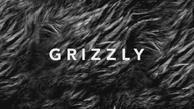 外语原版纪录片《 Grizzly (BBC) 》 - 纪录片1080P/720P/360P高清标清网盘迅雷下载