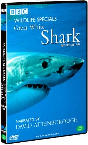 外语原版纪录片《 Great White Shark 》 - 纪录片1080P/720P/360P高清标清网盘迅雷下载