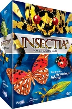 外语原版纪录片《 Insectia 2 》 - 纪录片1080P/720P/360P高清标清网盘迅雷下载