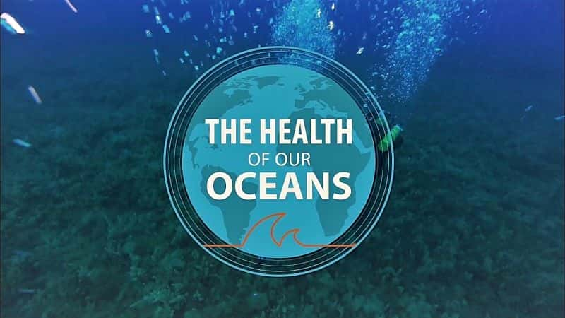 外语原版纪录片《 The Health of Our Oceans 》 - 纪录片1080P/720P/360P高清标清网盘迅雷下载