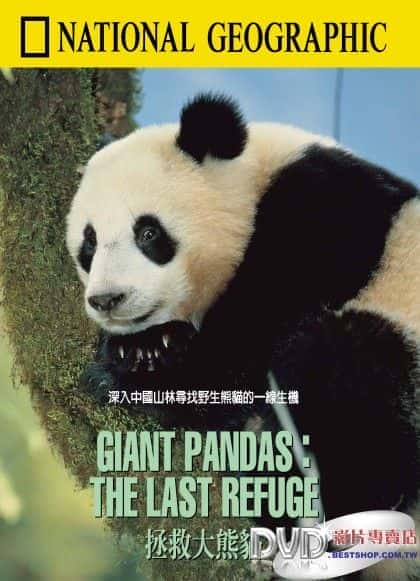 外语原版纪录片《 Giant Pandas: The Last Refuge 》 - 纪录片1080P/720P/360P高清标清网盘迅雷下载