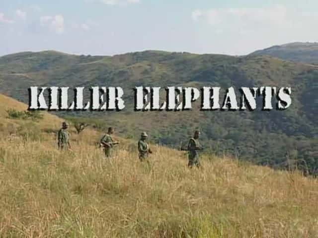 外语原版纪录片《 Killer Elephants 》 - 纪录片1080P/720P/360P高清标清网盘迅雷下载