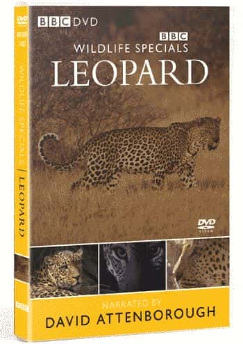 外语原版纪录片《 Leopard 》 - 纪录片1080P/720P/360P高清标清网盘迅雷下载