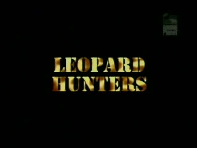 外语原版纪录片《 Leopard Hunters 》 - 纪录片1080P/720P/360P高清标清网盘迅雷下载