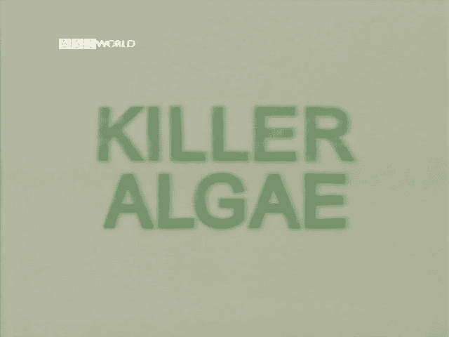 外语原版纪录片《 Killer Algae (BBC) 》 - 纪录片1080P/720P/360P高清标清网盘迅雷下载