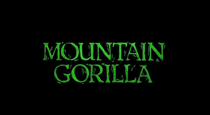 外语原版纪录片《 Mountain Gorilla (IMAX) 》 - 纪录片1080P/720P/360P高清标清网盘迅雷下载