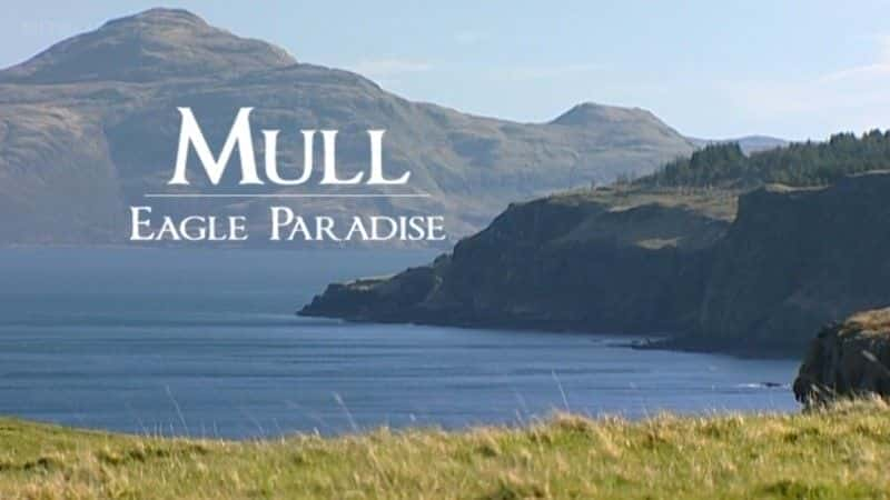 外语原版纪录片《 Mull: Eagle Paradise 》 - 纪录片1080P/720P/360P高清标清网盘迅雷下载