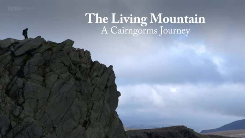 外语原版纪录片《 The Living Mountain: A Cairngorms Journey 》 - 纪录片1080P/720P/360P高清标清网盘迅雷下载