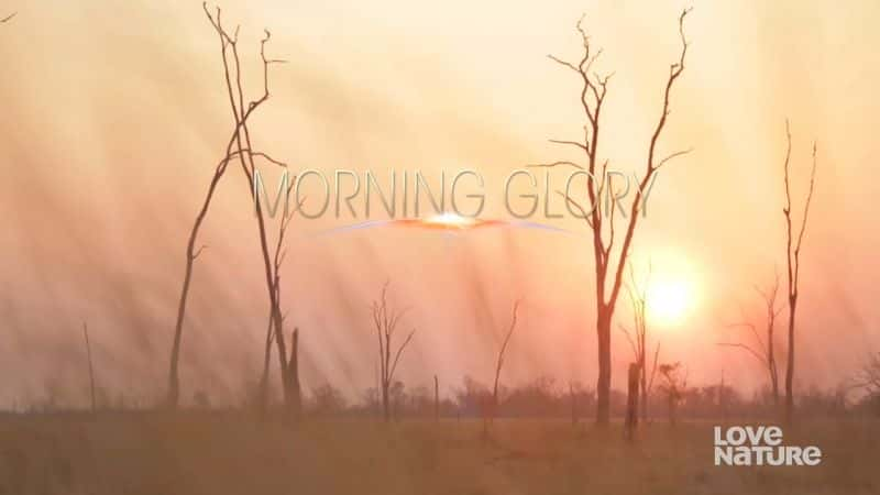 外语原版纪录片《 Morning Glory 》 - 纪录片1080P/720P/360P高清标清网盘迅雷下载