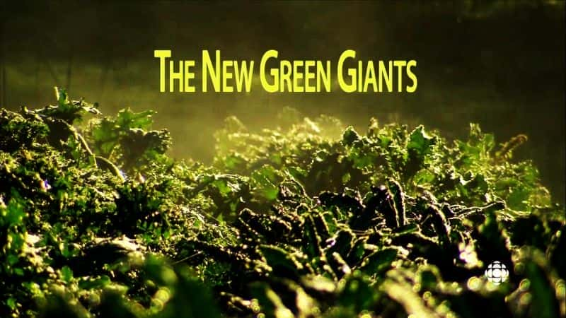 外语原版纪录片《 The New Green Giants 》 - 纪录片1080P/720P/360P高清标清网盘迅雷下载