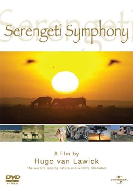 外语原版纪录片《 Serengeti Symphony 》 - 纪录片1080P/720P/360P高清标清网盘迅雷下载