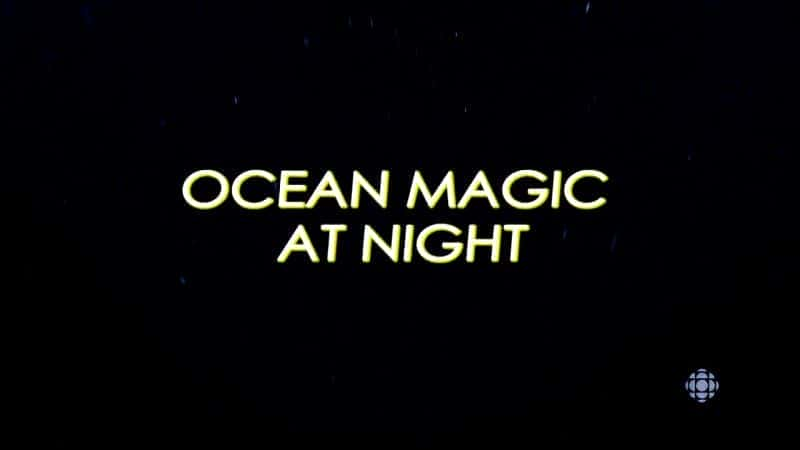 外语原版纪录片《 Ocean Magic at Night 》 - 纪录片1080P/720P/360P高清标清网盘迅雷下载