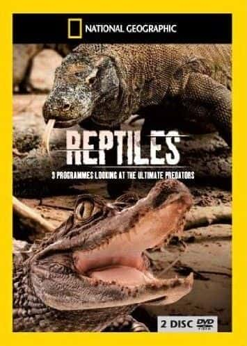 外语原版纪录片《 Reptiles (NG) 》 - 纪录片1080P/720P/360P高清标清网盘迅雷下载