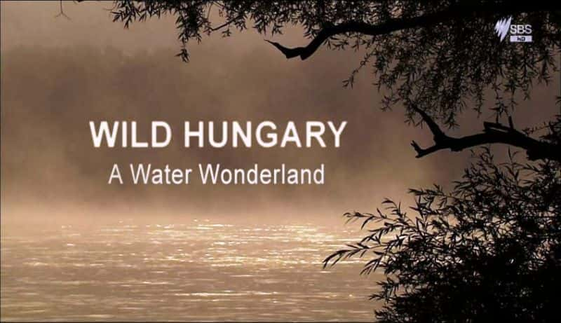 外语原版纪录片《 Wild Hungary: A Water Wonderland 》 - 纪录片1080P/720P/360P高清标清网盘迅雷下载