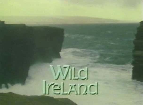 外语原版纪录片《 Wild Ireland 》 - 纪录片1080P/720P/360P高清标清网盘迅雷下载