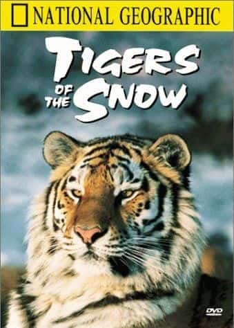 外语原版纪录片《 Tigers of the Snow 》 - 纪录片1080P/720P/360P高清标清网盘迅雷下载 外语原版纪录片《 Tigers of the Snow 》 - 纪录片1080P/720P/360P高清标清网盘迅雷下载