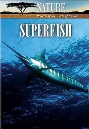 外语原版纪录片《 Superfish 》 - 纪录片1080P/720P/360P高清标清网盘迅雷下载