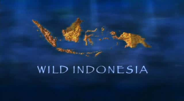 外语原版纪录片《 Wild Indonesia 》 - 纪录片1080P/720P/360P高清标清网盘迅雷下载