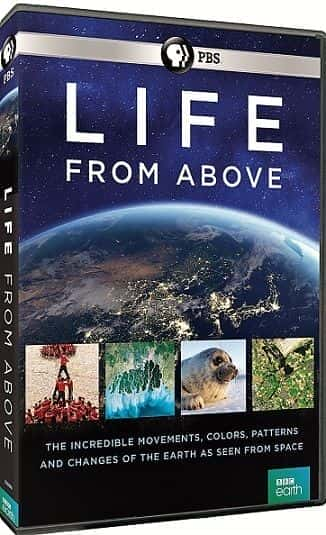 外语原版纪录片《 Life from Above: Series 1 》 - 纪录片1080P/720P/360P高清标清网盘迅雷下载