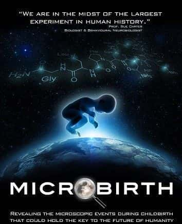 外语原版纪录片《 Microbirth 》 - 纪录片1080P/720P/360P高清标清网盘迅雷下载