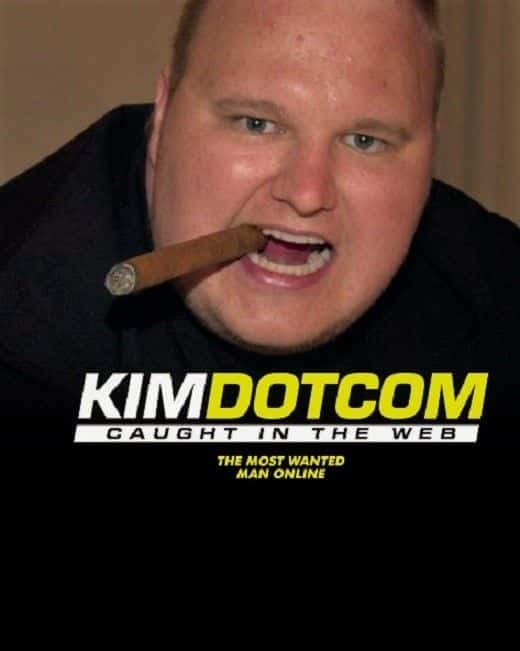 外语原版纪录片《 Kim Dotcom: Caught in the Web 》 - 纪录片1080P/720P/360P高清标清网盘迅雷下载