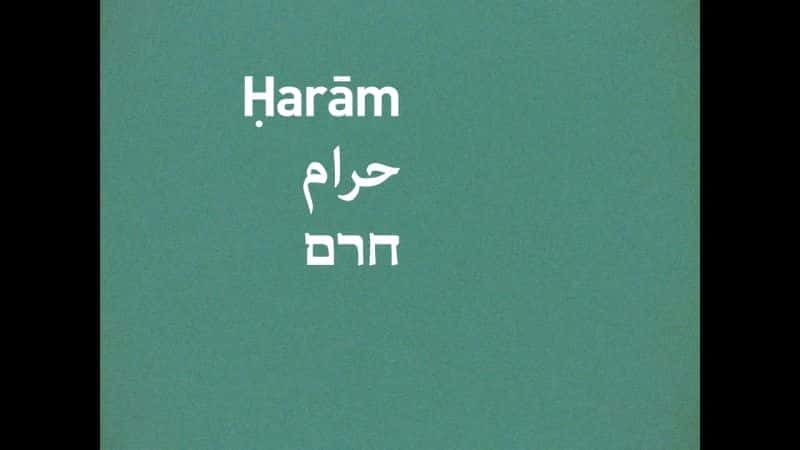 外语原版纪录片《 Haram 》 - 纪录片1080P/720P/360P高清标清网盘迅雷下载 外语原版纪录片《 Haram 》 - 纪录片1080P/720P/360P高清标清网盘迅雷下载