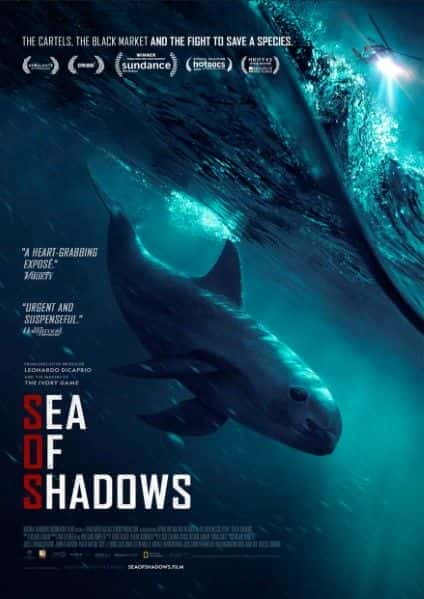 外语原版纪录片《 Sea of Shadows 》 - 纪录片1080P/720P/360P高清标清网盘迅雷下载