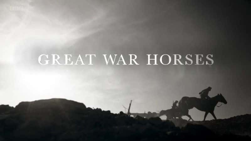 外语原版纪录片《 Great War Horses 》 - 纪录片1080P/720P/360P高清标清网盘迅雷下载