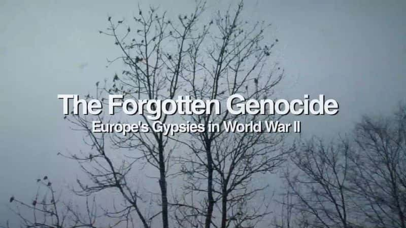 外语原版纪录片《 The Forgotten Genocide: Europe's Gypsies in World War II 》 - 纪录片1080P/720P/360P高清标清网盘迅雷下载