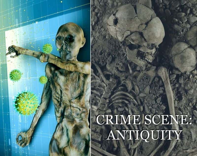 外语原版纪录片《 Crime Scene Antiquity 》 - 纪录片1080P/720P/360P高清标清网盘迅雷下载