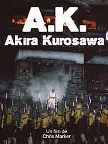 外语原版纪录片《A.K./A.K. 》原版无字/外挂字幕 - 纪录片1080P/720P/360P高清标清网盘迅雷下载