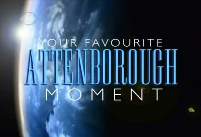 外语原版纪录片《你最喜欢的爱登堡时刻（英国电视台）/Your Favourite Attenborough Moment (UKTV) 》原版无字/外挂字幕 - 纪录片1080P/720P/360P高清标清网盘迅雷下载