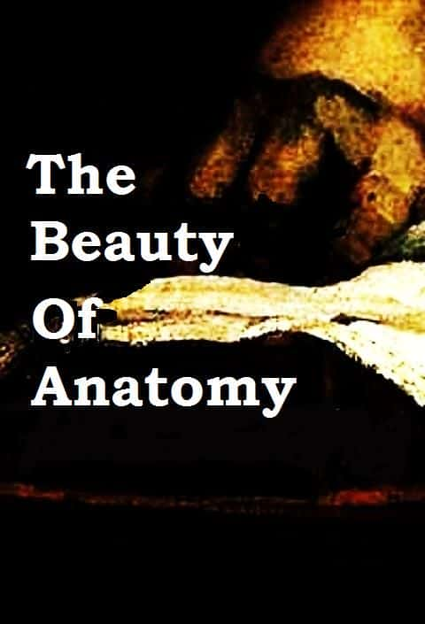 外语原版纪录片《解剖之美/The Beauty of Anatomy 》原版无字/外挂字幕 - 纪录片1080P/720P/360P高清标清网盘迅雷下载