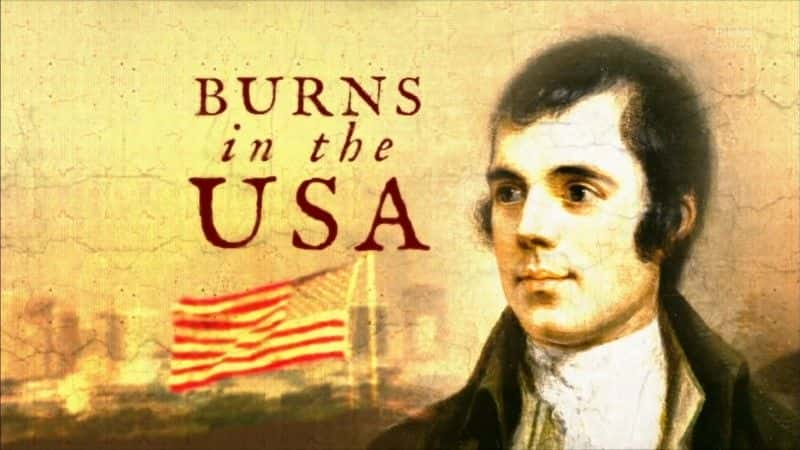 外语原版纪录片《在美国烧伤/Burns in the USA 》原版无字/外挂字幕 - 纪录片1080P/720P/360P高清标清网盘迅雷下载