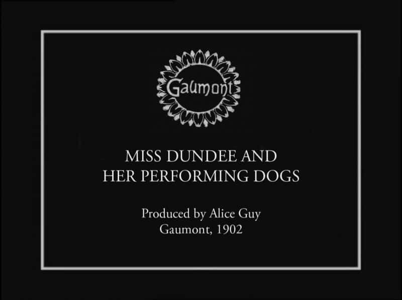 外语原版纪录片《邓迪小姐和她的表演犬/Miss Dundee and her Performing Dogs 》原版无字/外挂字幕 - 纪录片1080P/720P/360P高清标清网盘迅雷下载