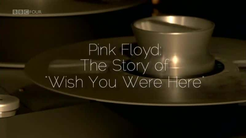 外语原版纪录片《平克·弗洛伊德 (Wish You Were Here)/Pink Floyd (Wish You Were Here) 》原版无字/外挂字幕 - 纪录片1080P/720P/360P高清标清网盘迅雷下载